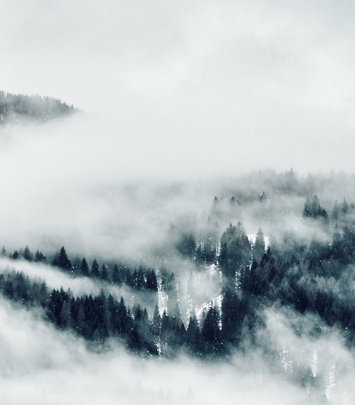 Imagen de la noticia TAM, líderes en incapacidad laboral